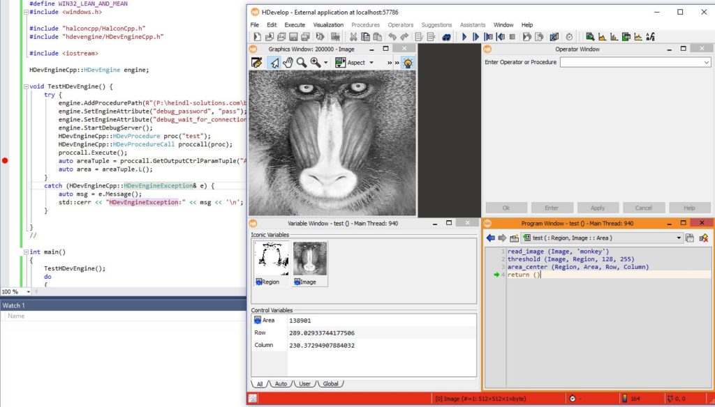 Screenshot of a typical debugging session with HDevEngine